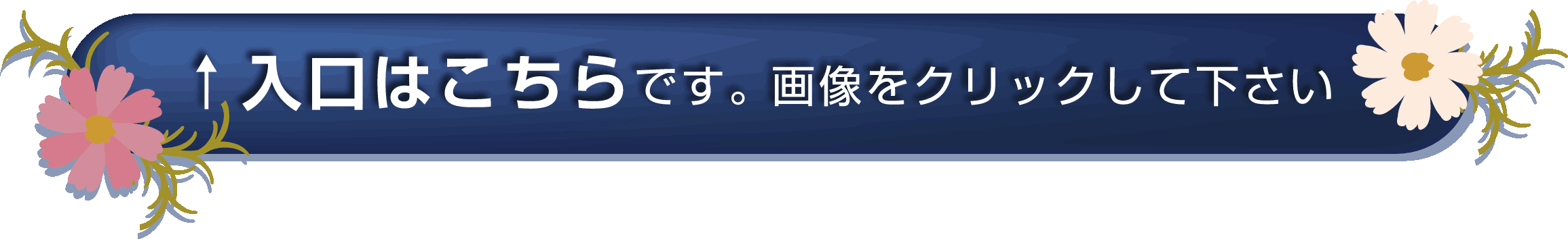 enter